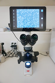 モニター付き顕微鏡